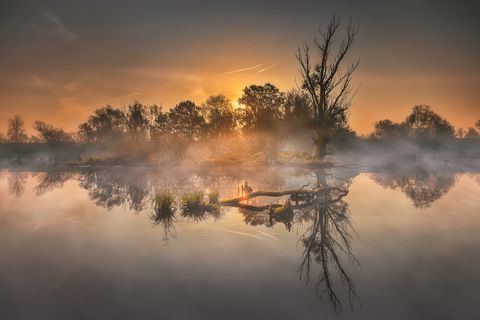 Autumn morning in lowlands