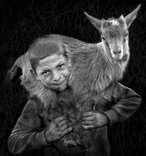 Goatherd boy