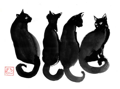 4 black cats.jpg