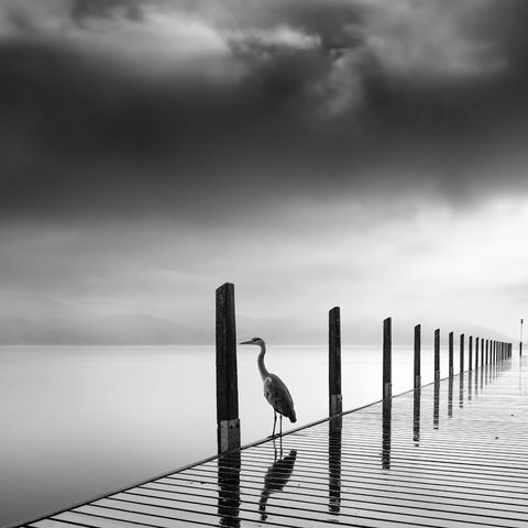 George Digalakis